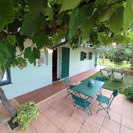 Cisano sul Neva Independent Apartment With A Fabulous Patio - Casa Penny מראה חיצוני תמונה